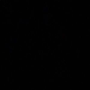 Meet your Posher, Mya